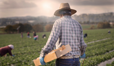 Immigrant farm worker. Source: Shutterstock